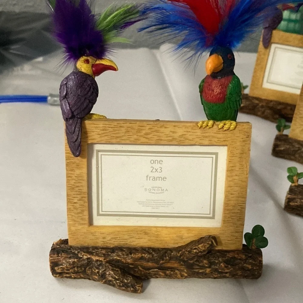 Parrot picture frame